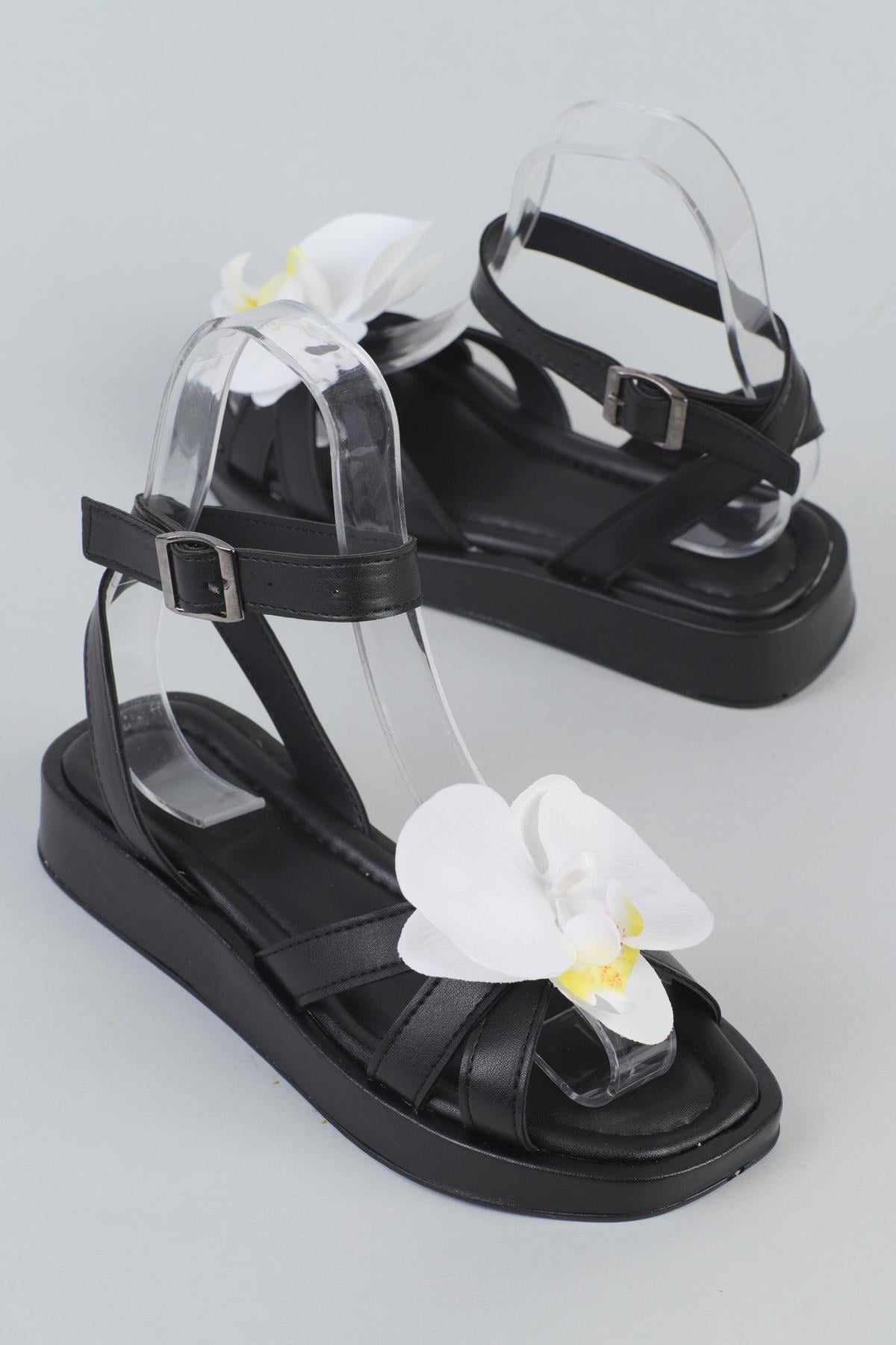 ShoetekEllisa