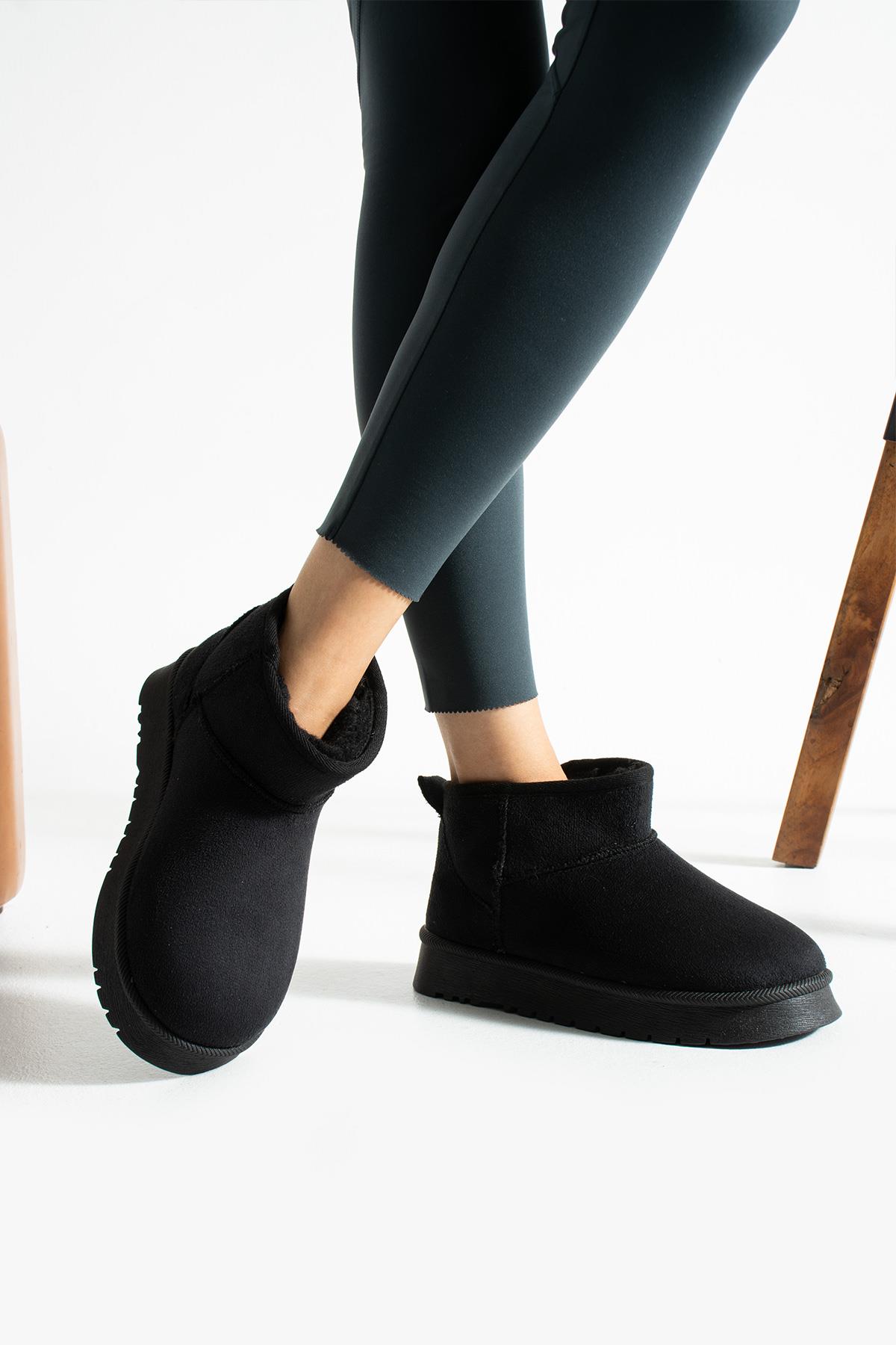 ShoetekLesva