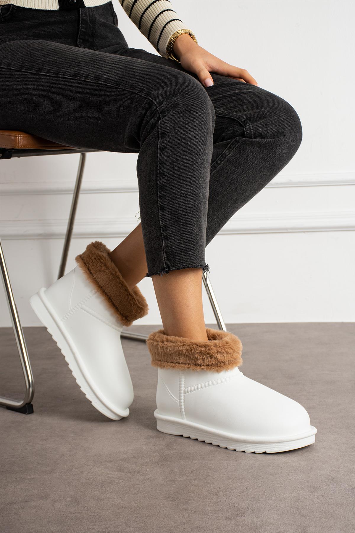ShoetekLirse