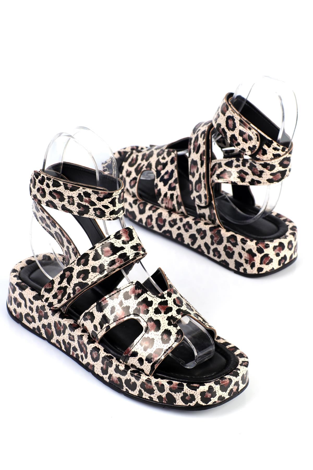 ShoetekEbbe