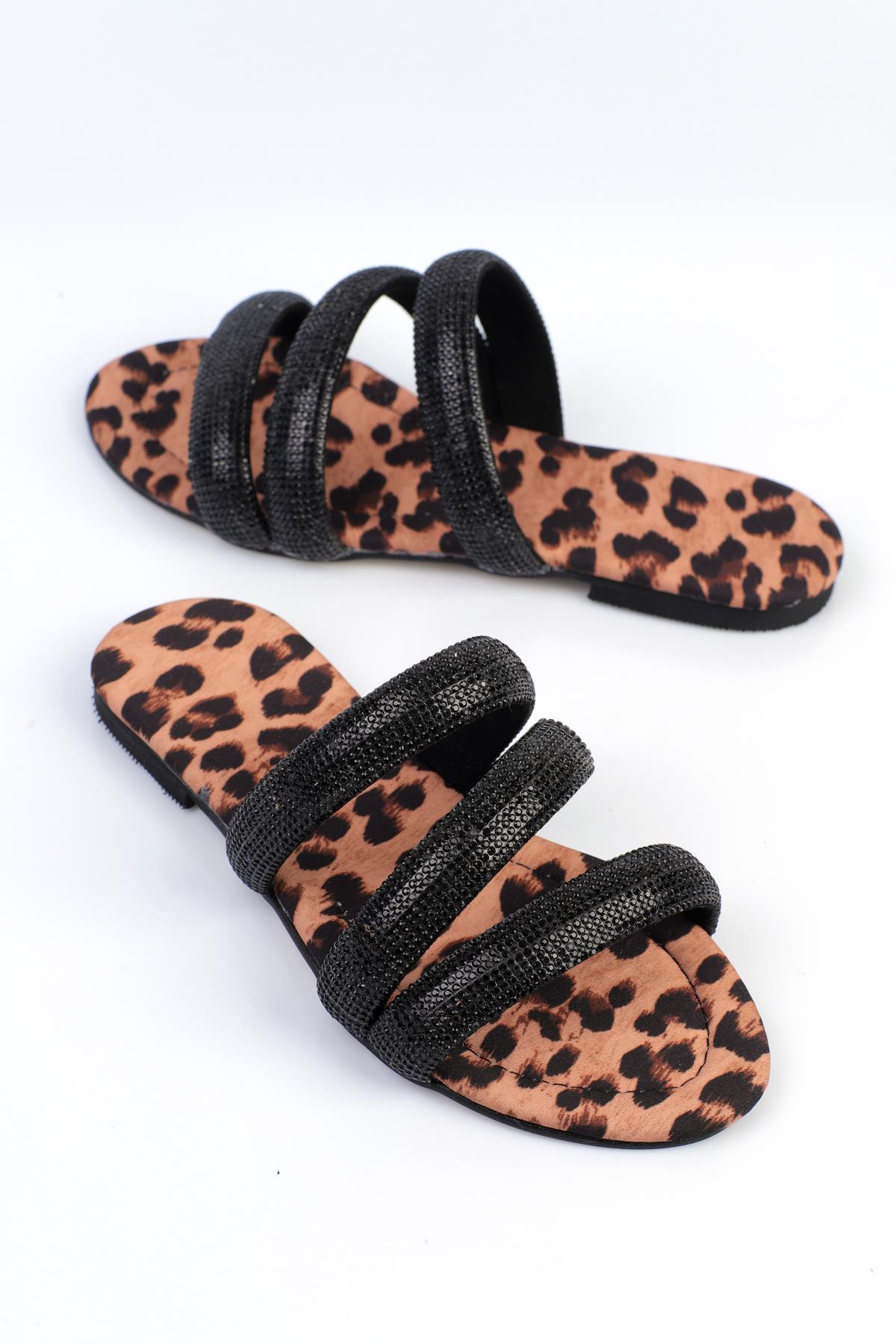 ShoetekEiran