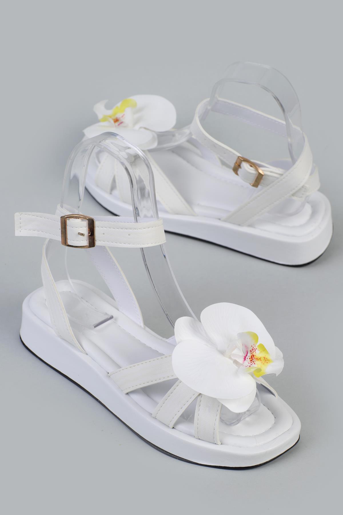 ShoetekEllisa