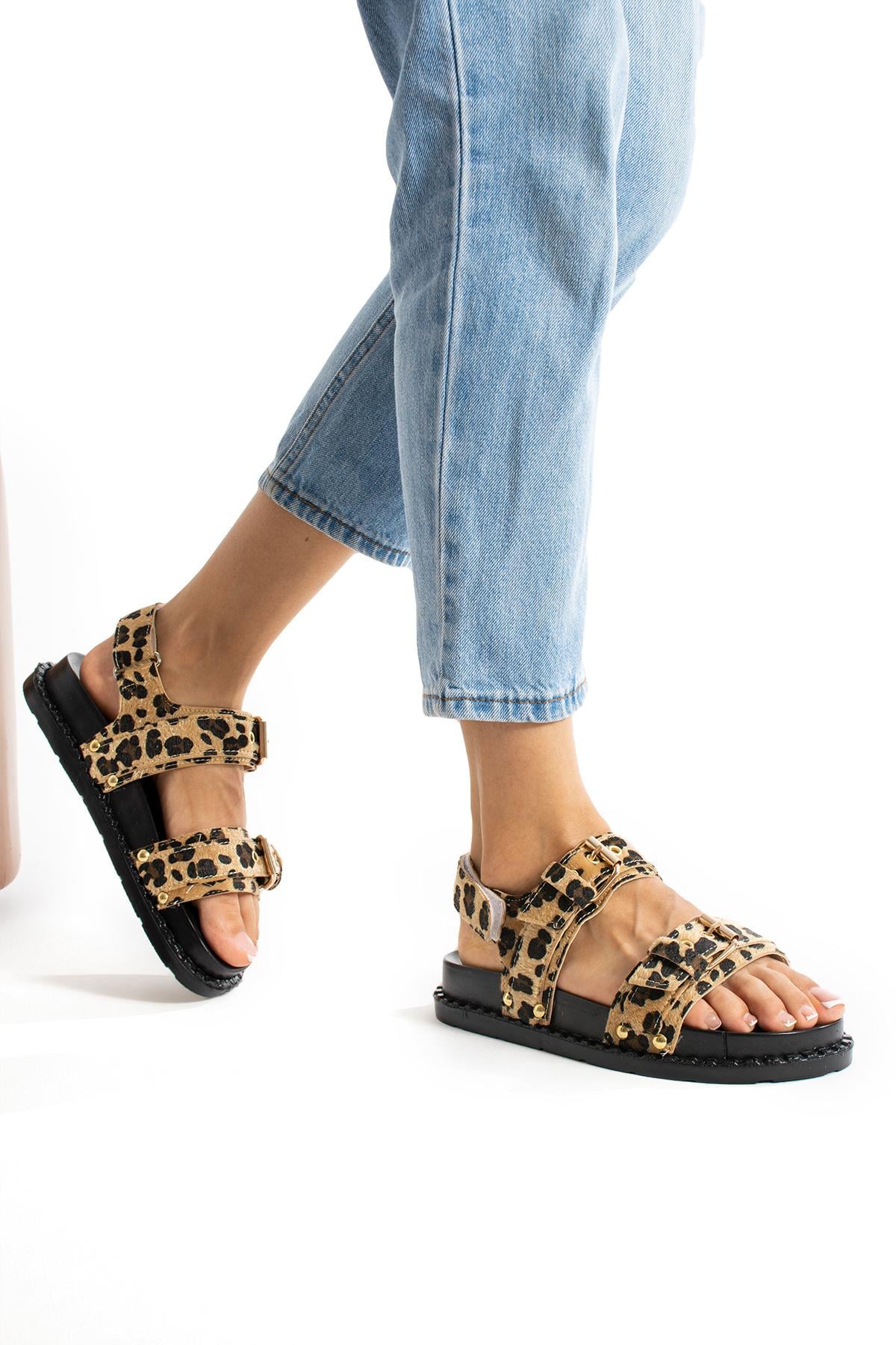 ShoetekTarisa