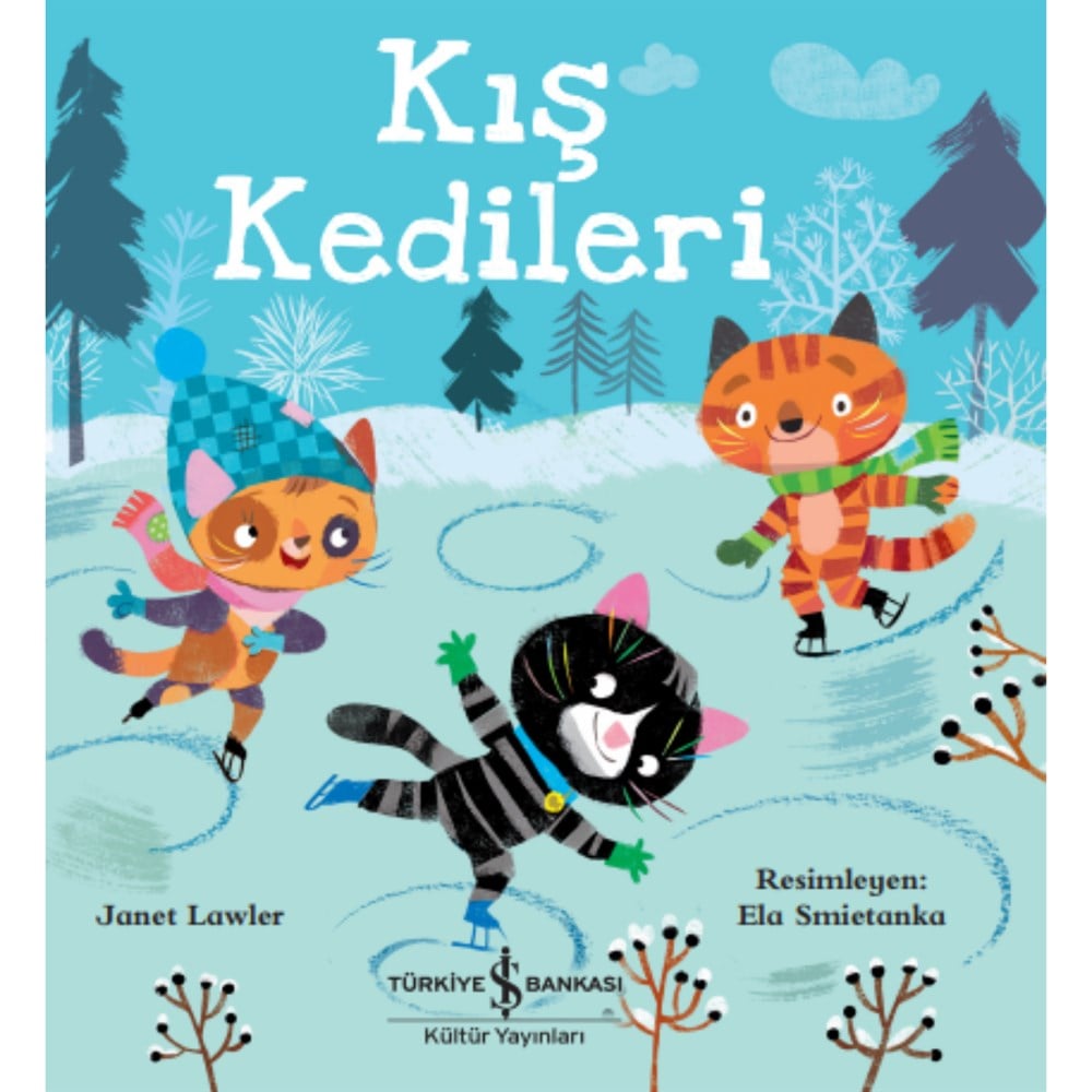 KIŞ KEDİLERİ