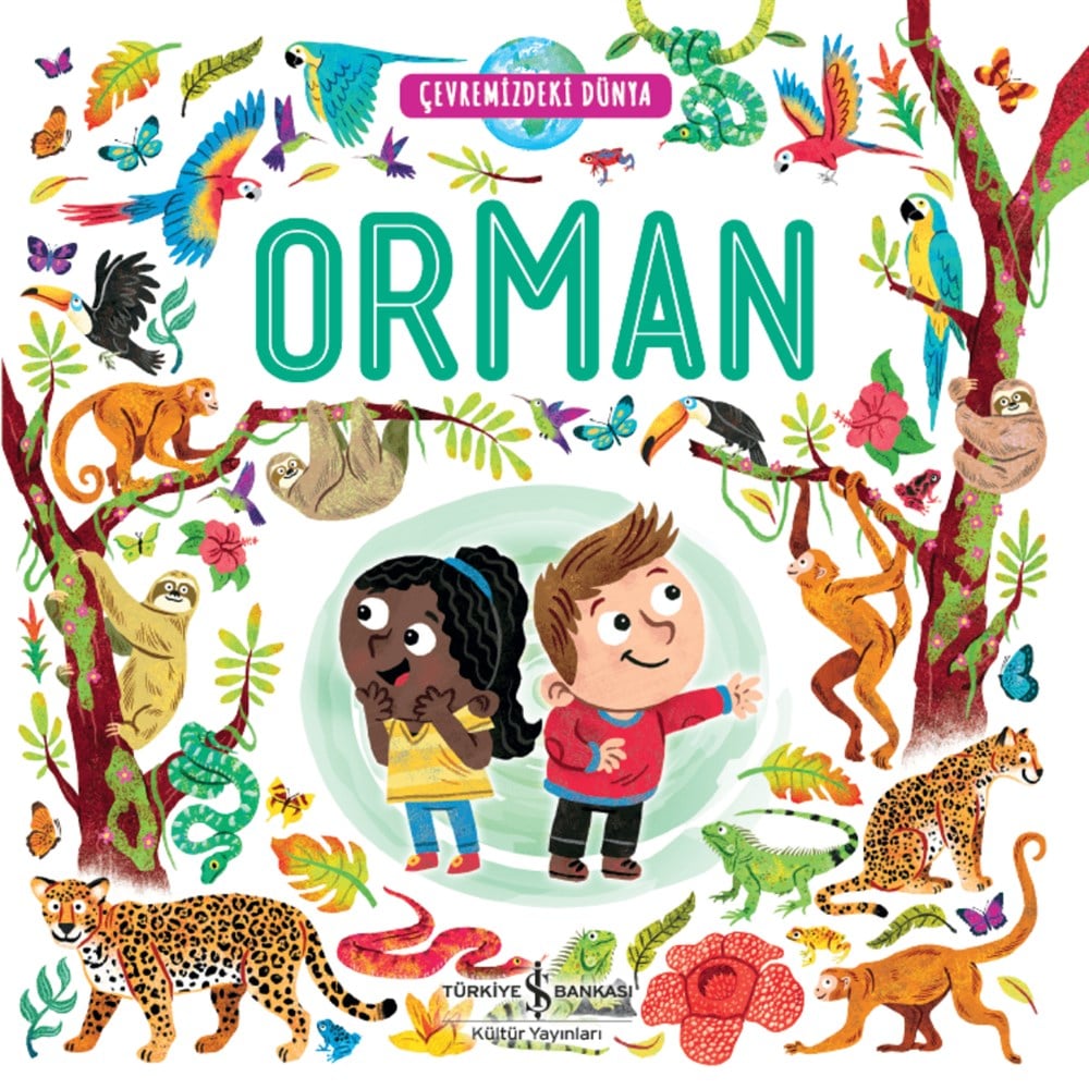 ÇEVREMİZDEKİ DÜNYA ORMAN