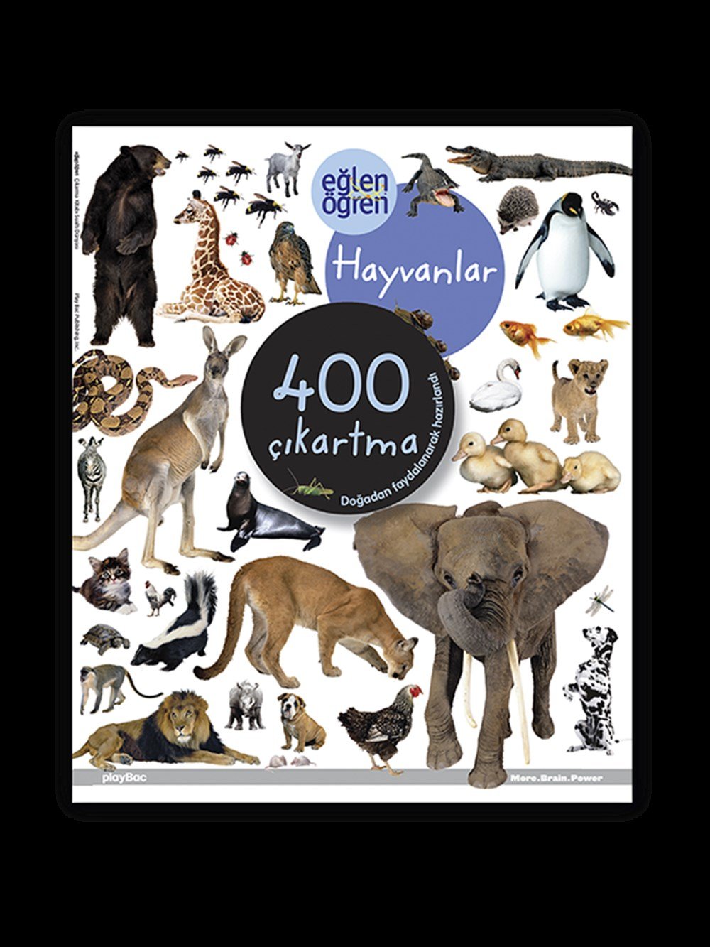 EĞLEN ÖĞREN HAYVANLAR / ÇIKARTMA