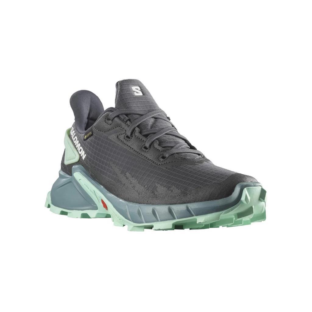Salomon 470668 Alphacross 4 Gtx W Ebony/Trellis Yucca Kadın Outdoor Ayakkabı