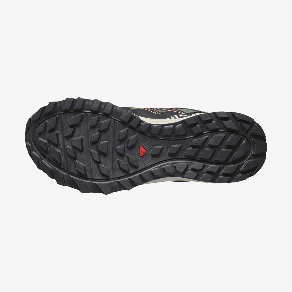 Salomon 471485 Wander GTX Deep Lichen Green/Rainy Day/Scarlet Ibis Erkek Outdoor Ayakkabı