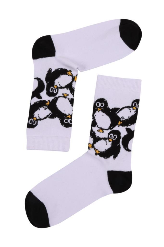 Socks Company Beyaz-Penguen Desenli Kadın Çorap