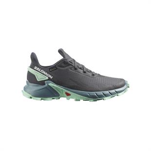 Salomon 470668 Alphacross 4 Gtx W Ebony/Trellis Yucca Kadın Outdoor Ayakkabı