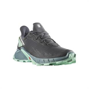 Salomon 470668 Alphacross 4 Gtx W Ebony/Trellis Yucca Kadın Outdoor Ayakkabı