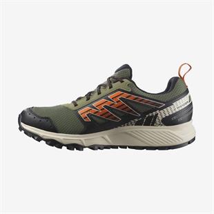 Salomon 471485 Wander GTX Deep Lichen Green/Rainy Day/Scarlet Ibis Erkek Outdoor Ayakkabı