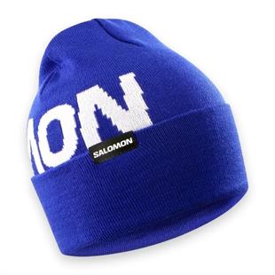 Salomon LC2366400 Hermitage Beanie Surf The Web Bere