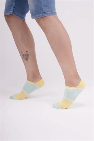The Socks Company 152P 3 Çift Desenli Erkek Görünmez Çorap