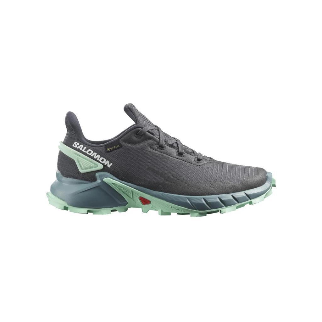 Salomon 470668 Alphacross 4 Gtx W Ebony/Trellis Yucca Kadın Outdoor Ayakkabı