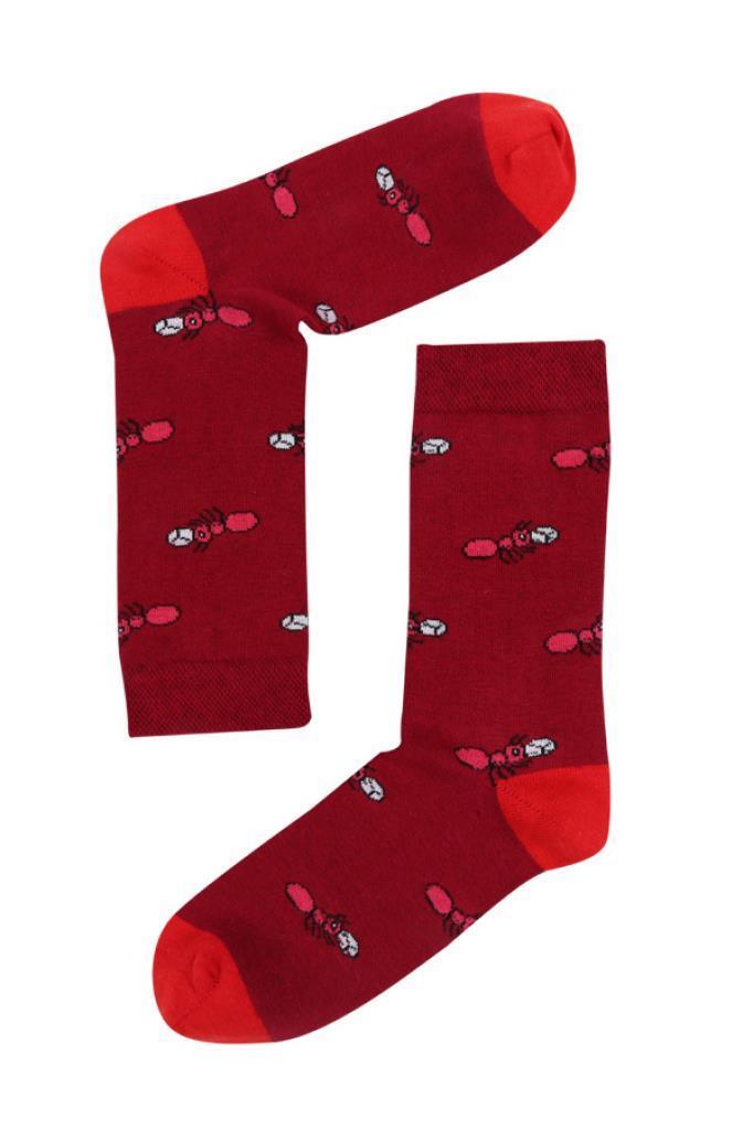 Socks Company 15KDCR720K Bordo-Karınca Desenli Kadın Çorap