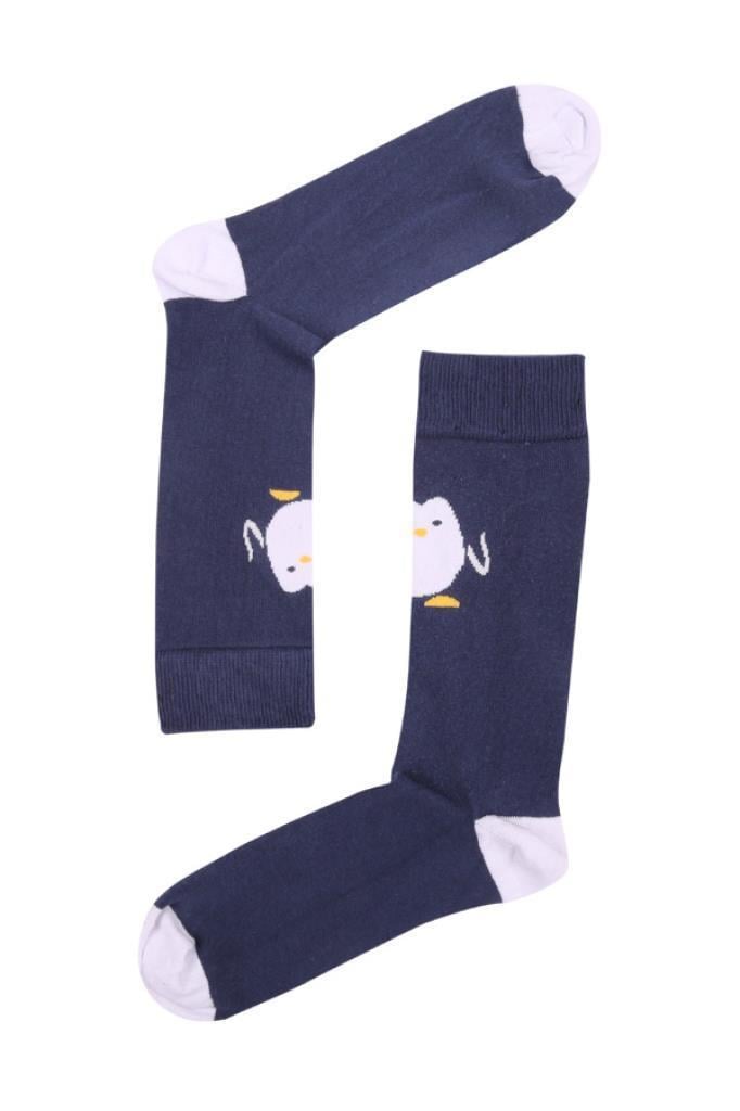 Socks Company Laci-Beyaz Civciv Desenli Erkek Çorap