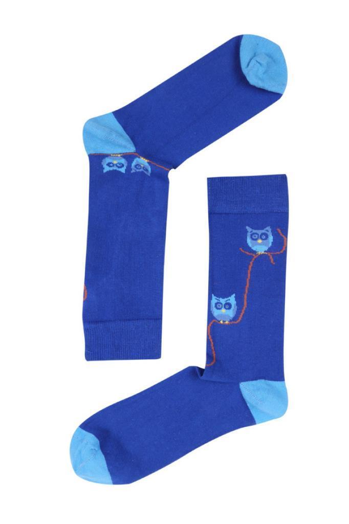 Socks Company Mavi-Baykuşlu Erkek Çorap