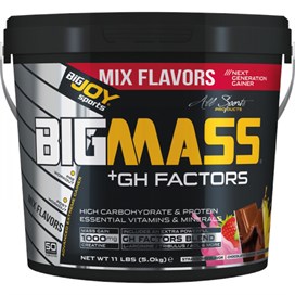 Bigjoy Sports BIGMASS Gainer GH FACTORS 5000 gr Mix4 kg - 7 kg - Gainer