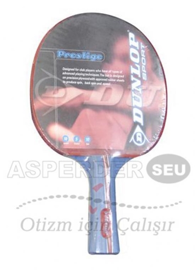 Masa Tenisi Raketi Dunlop Fight