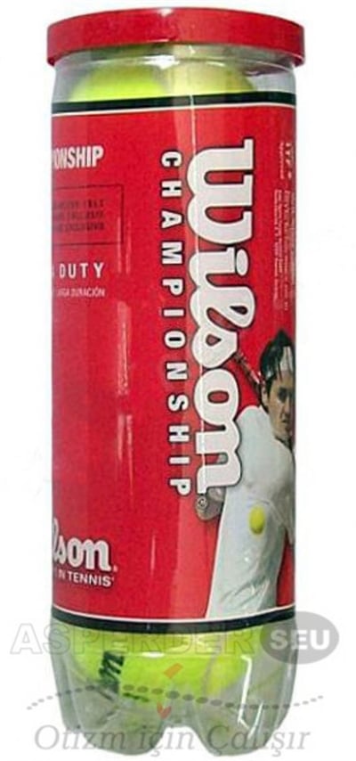 Tenis Topu Wilson Championship 3lü