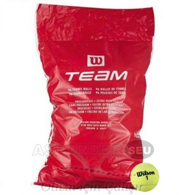 Tenis Topu Wilson T1311 Team 96lı poşet
