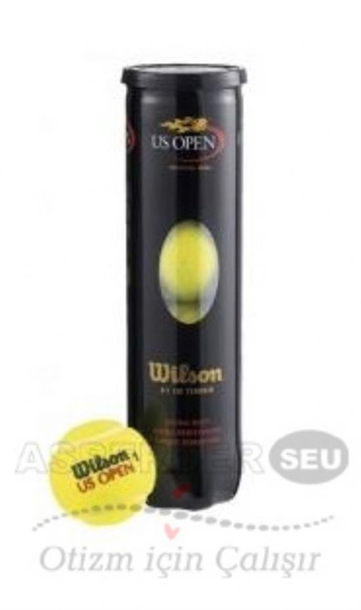 Tenis Topu Wilson US Open 3lü
