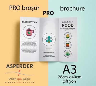 Pro Broşür - A3 - 150gr - 30x42cm - çift yön - 2000ad