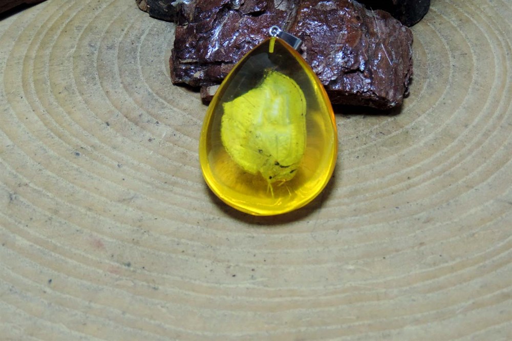 Beyaz Kelebek Fosilli Anahtarlık