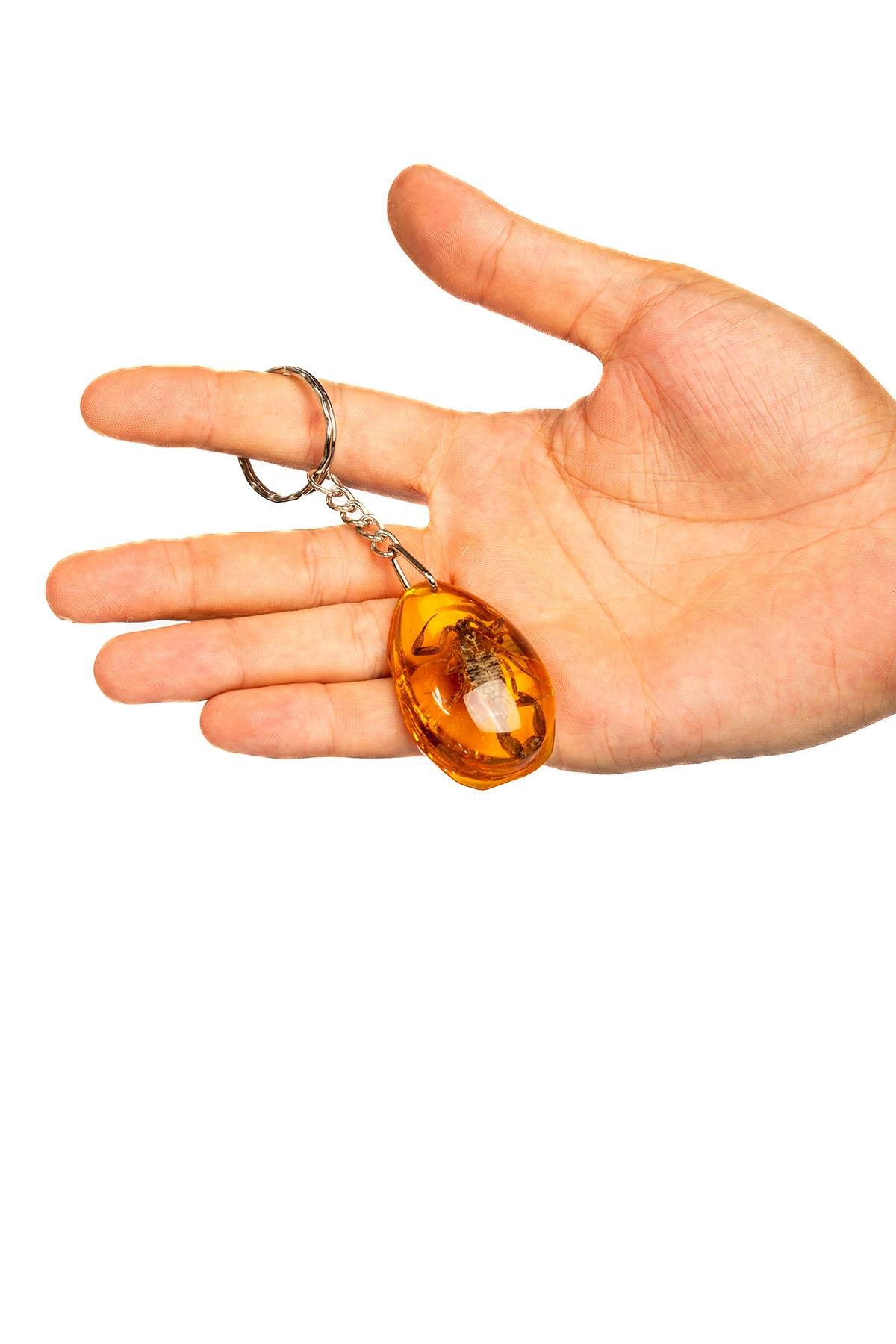 Akrep Fosilli Toz Kehribar Anahtarlık