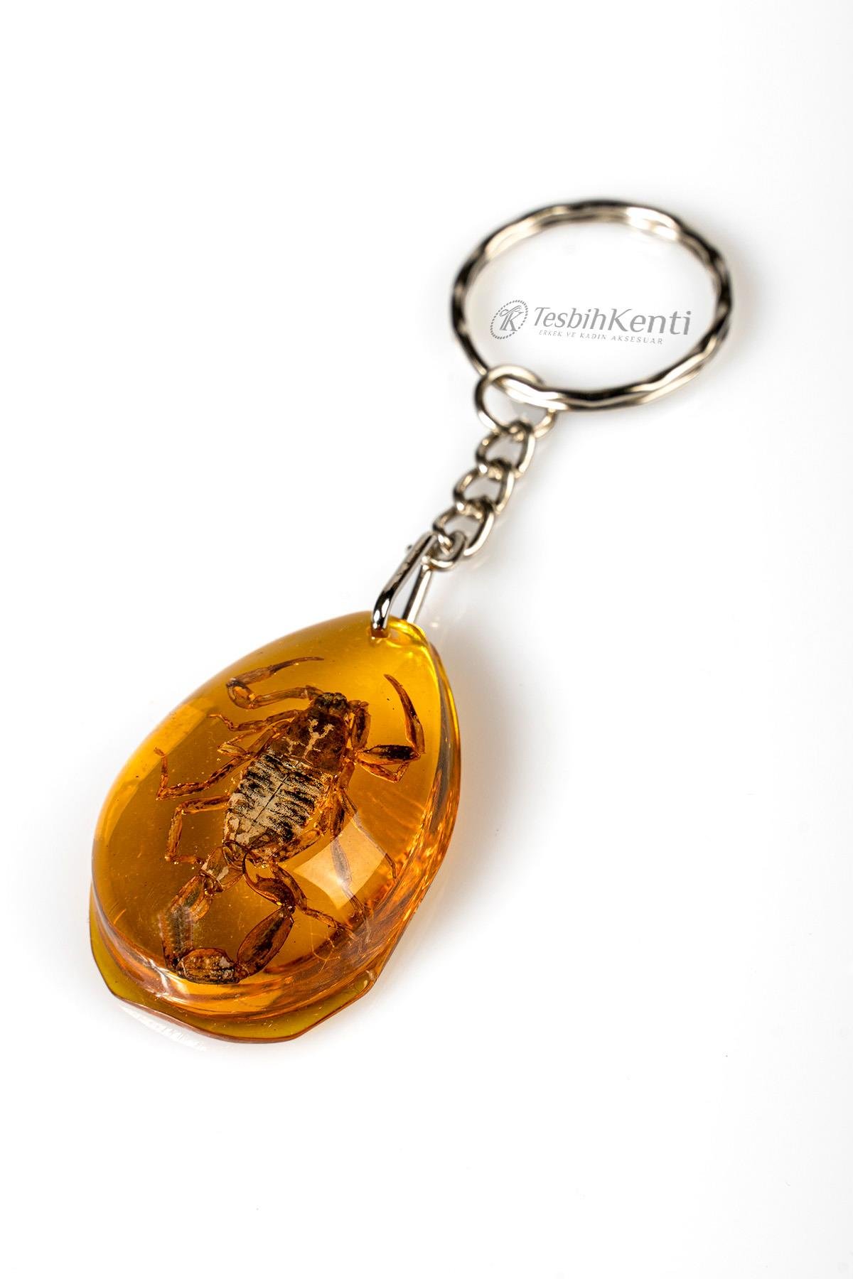 Üçgen Tasarım Akrep Fosilli Anahtarlık