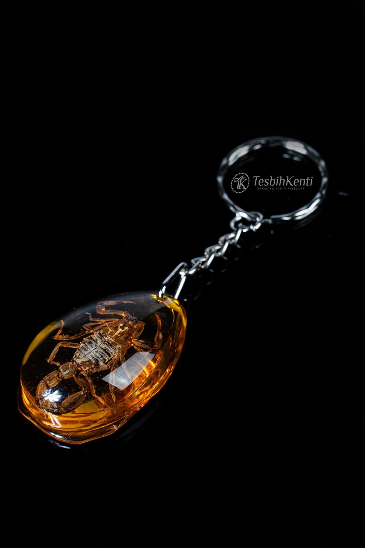 Üçgen Tasarım Akrep Fosilli Anahtarlık