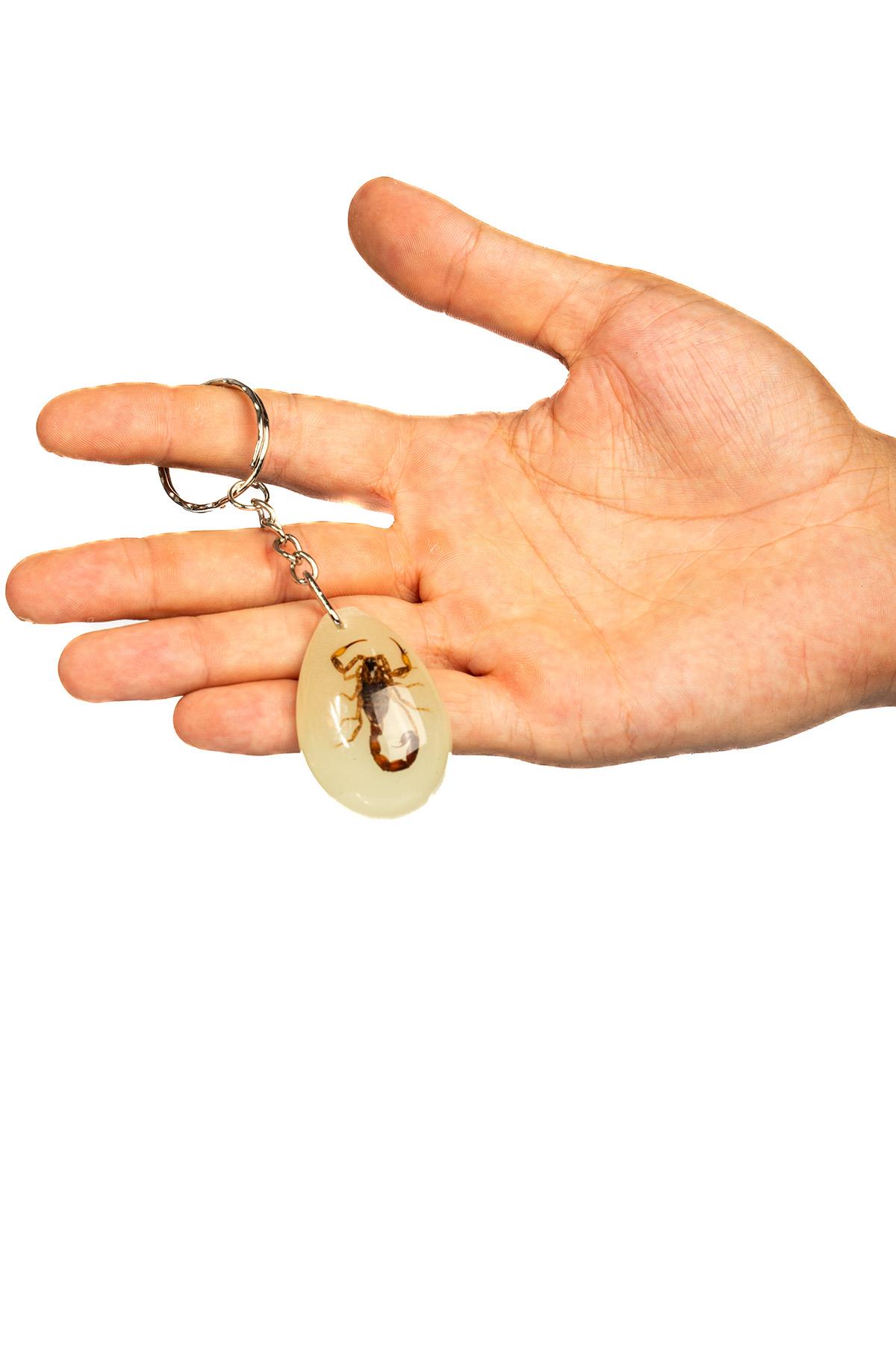 Yeşil Renk Akrep Fosilli Anahtarlık Model 3