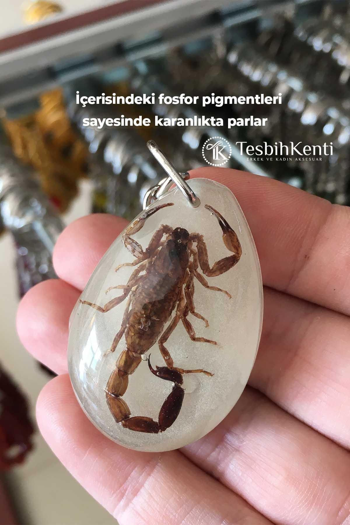 Yeşil Renk Akrep Fosilli Anahtarlık Model 4