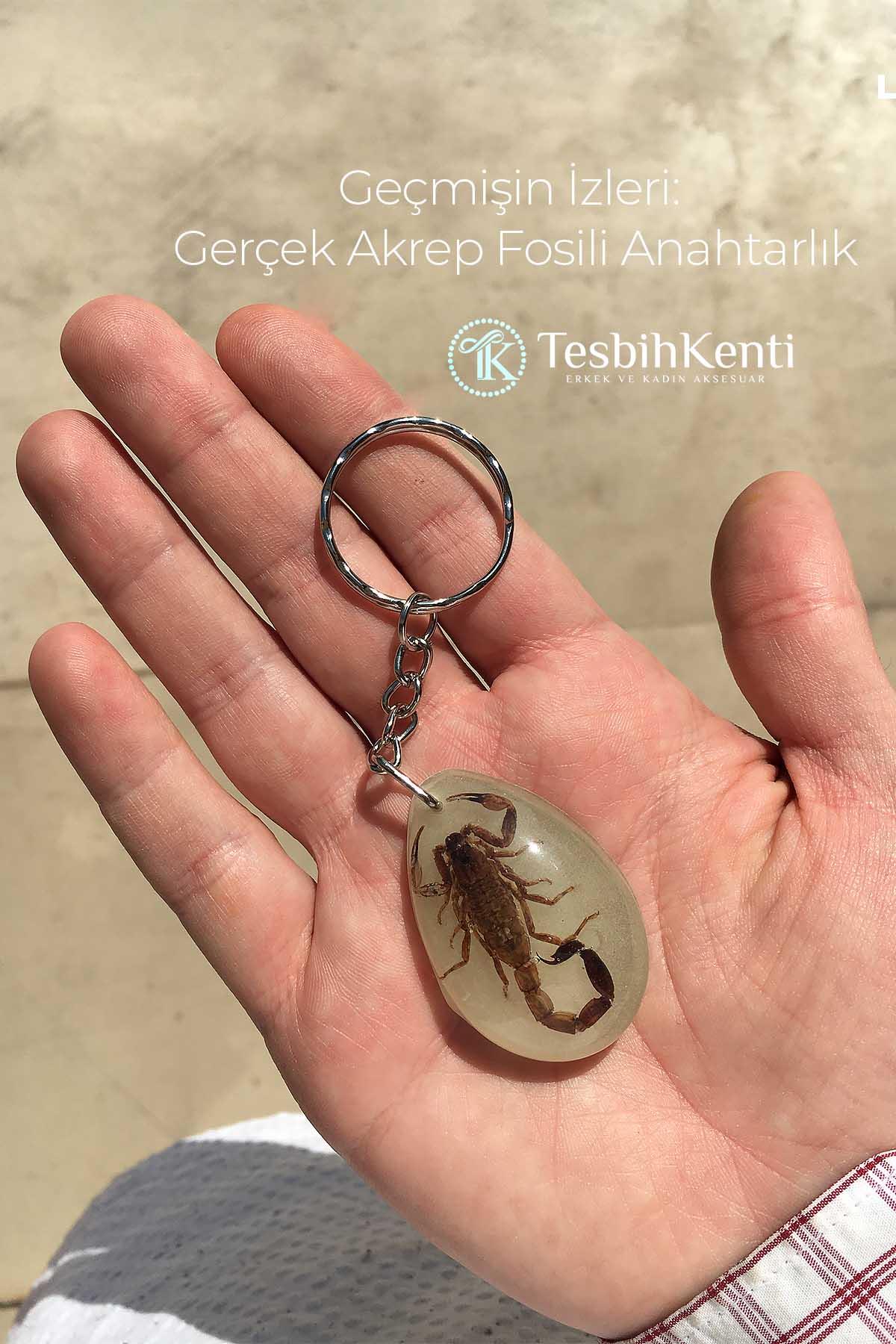 Yeşil Renk Akrep Fosilli Anahtarlık Model 4