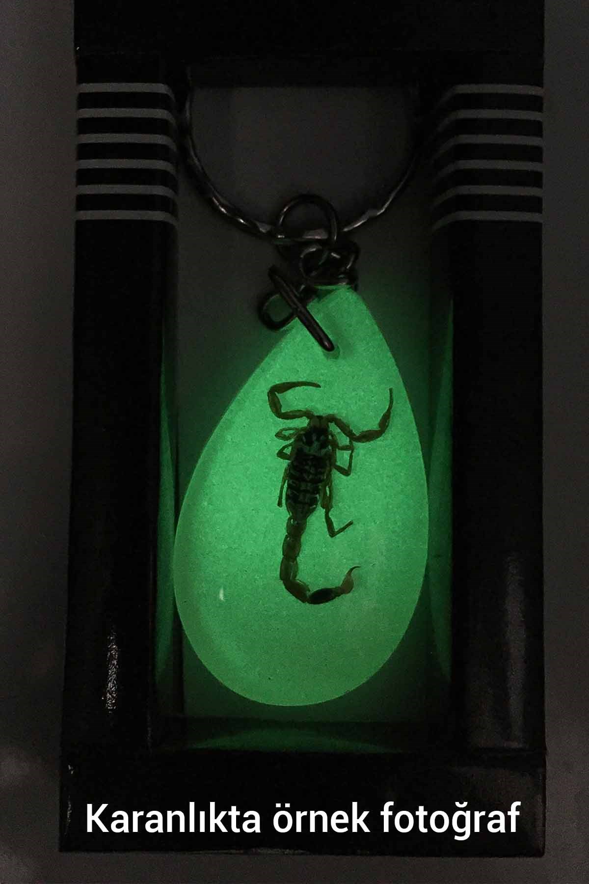 Yeşil Renk Akrep Fosilli Anahtarlık Model 4