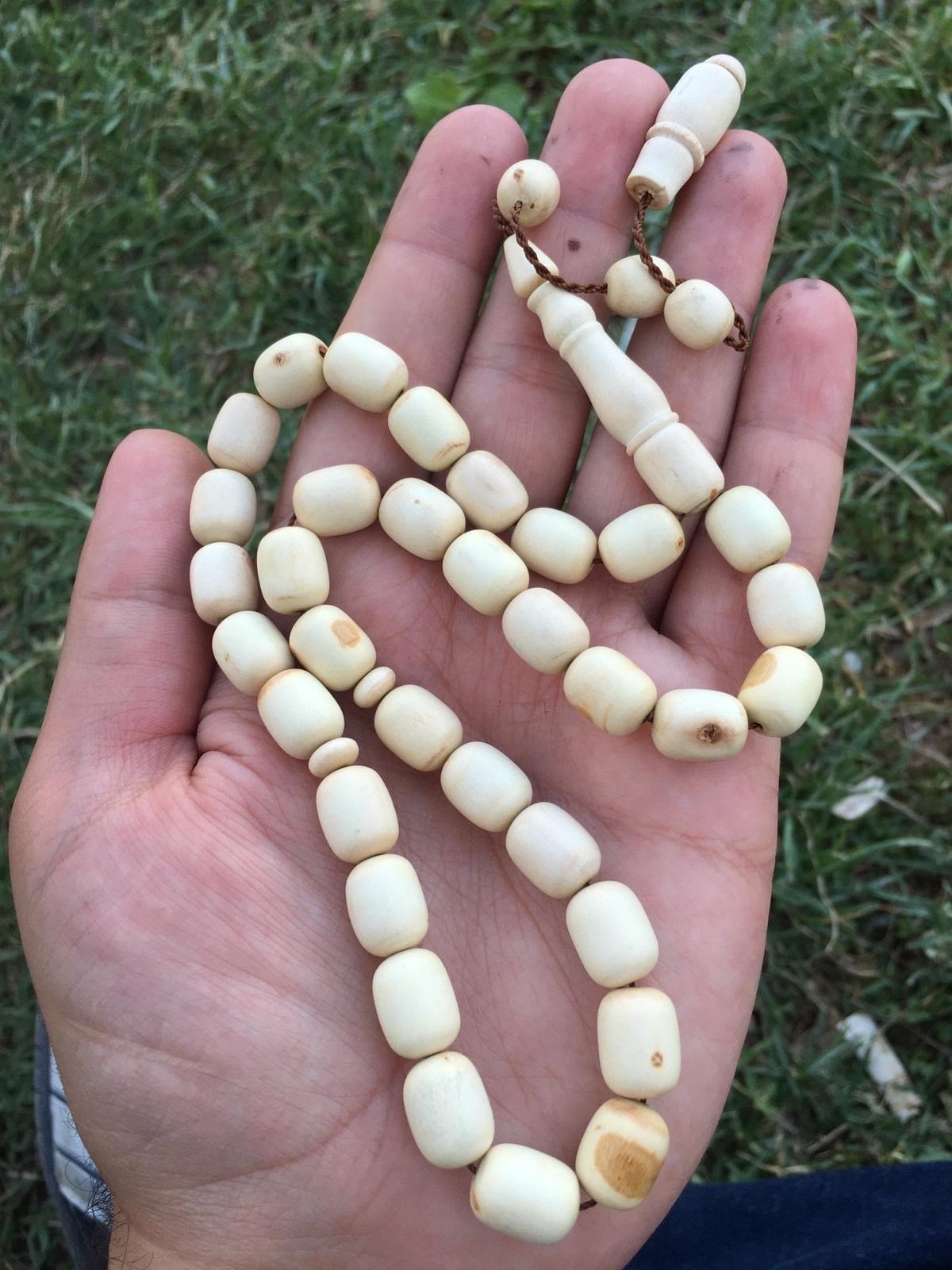 Çınar Ağacı Tesbih Arpa Tane Tipi