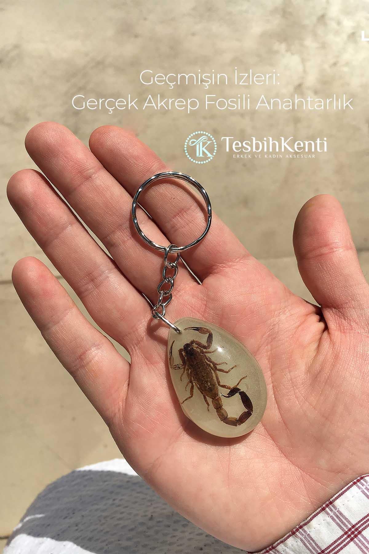 Yeşil Renk Akrep Fosilli Anahtarlık Model 4