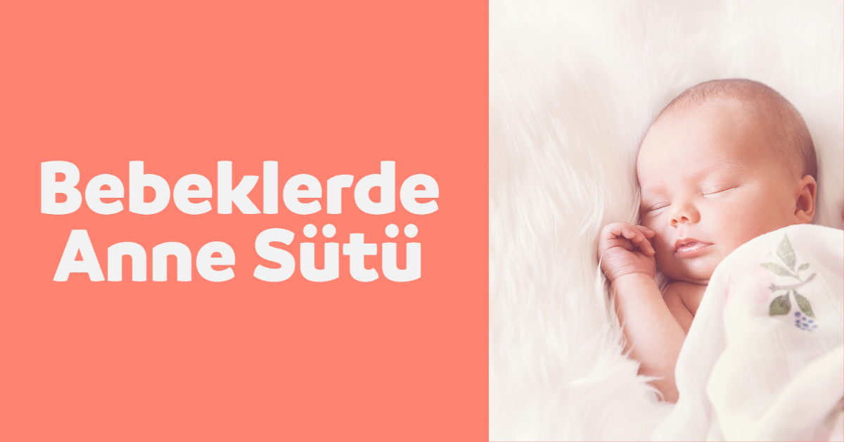 Bebeklerde Anne Sütü