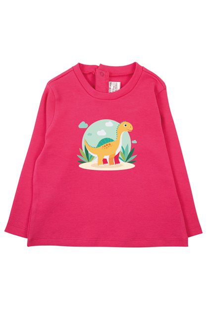 Kız Bebek Dinozor Baskılı T-Shirt ve Kadife Alt 2li Takım