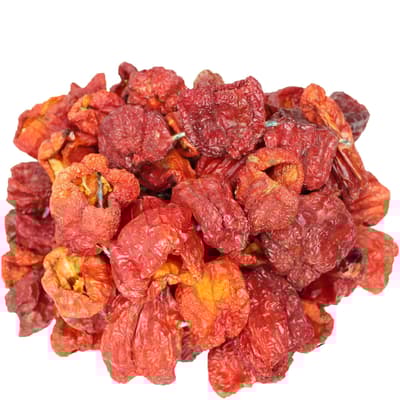 Dağcıoğlu Dolmalık Acı Topak Antep Biberi Kurusu 1 Dizim