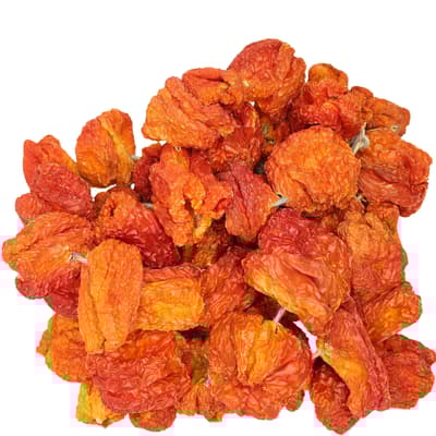 Dağcıoğlu Dolmalık Tatlı Topak Antep Biberi Kurusu 1 Dizim