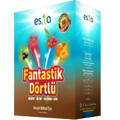 Esila Fantastik Dörtlü Yaz Çayı 90 Gr
