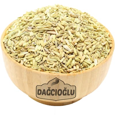 Dağcıoğlu Rezene (Mayana)