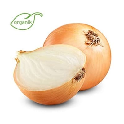 Organik Kuru Soğan (kg) Kurtdoğmuş Çiftliği