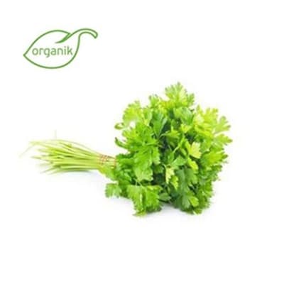 Organik Maydanoz (demet) Salih Özkan Çiftliği-Bursa