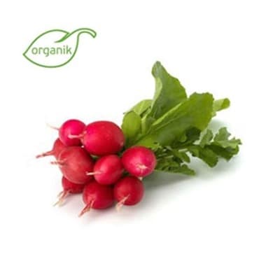 Organik Fındık Turp (demet) Ersöz Bahçesi - Afyon