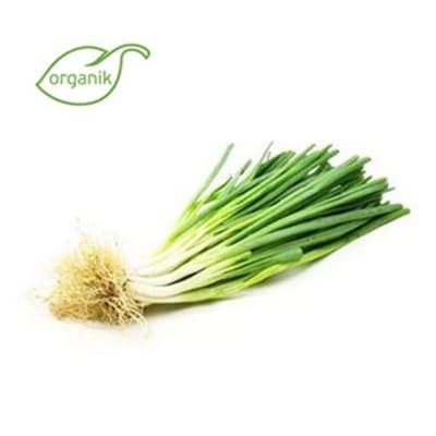 Organik Taze Soğan (demet) Salih Özkan Çiftliği-Bursa