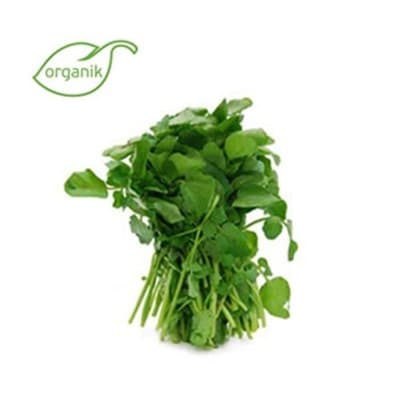 Organik Tere, demet ** Salih Özkan Çiftliği-Bursa