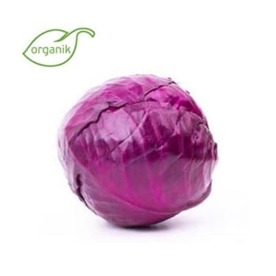 Organik Kırmızı Lahana (1 kg) Kurtdoğmuş Çiftliği